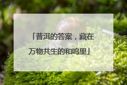 普洱的答案，藏在万物共生的和鸣里