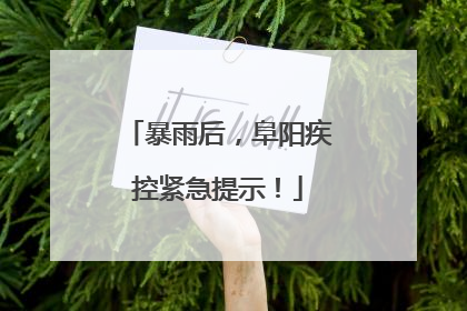 暴雨后，阜阳疾控紧急提示！