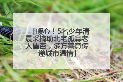 暖心！5名少年清晨采摘助北宅孤寡老人售杏，多方善意传递城市温情