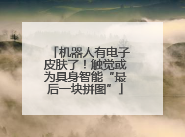 机器人有电子皮肤了！触觉或为具身智能“最后一块拼图”