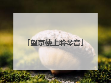 望京楼上聆琴音