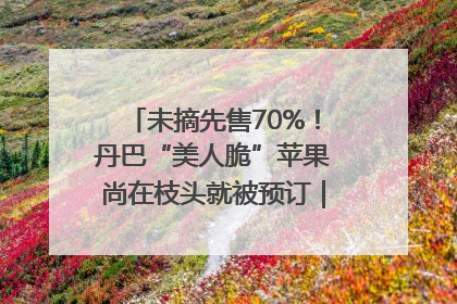 未摘先售70%！丹巴“美人脆”苹果尚在枝头就被预订｜长征路上看四川