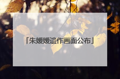 朱媛媛遗作画面公布