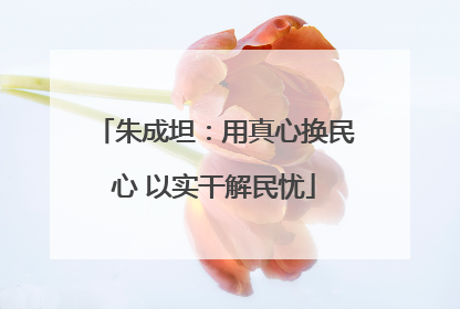 朱成坦：用真心换民心 以实干解民忧