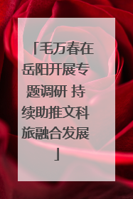 毛万春在岳阳开展专题调研 持续助推文科旅融合发展