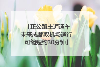 正公路主道通车 未来成都双机场通行可缩短约30分钟