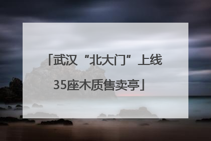 武汉“北大门”上线35座木质售卖亭