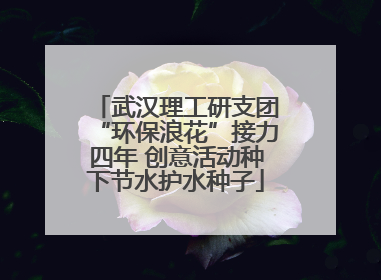 武汉理工研支团“环保浪花”接力四年 创意活动种下节水护水种子