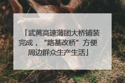 武黄高速蒲团大桥铺装完成，“路基改桥”方便周边群众生产生活