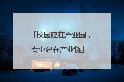 校园建在产业园，专业建在产业链