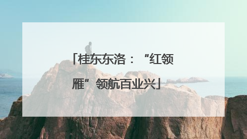 桂东东洛：“红领雁”领航百业兴