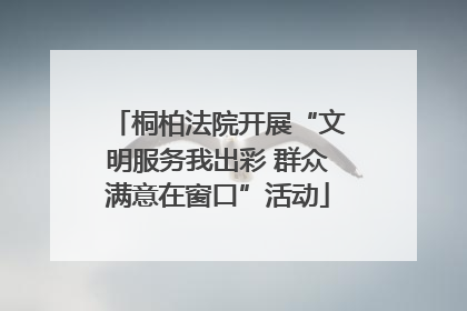 桐柏法院开展“文明服务我出彩 群众满意在窗口”活动
