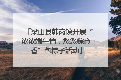 梁山县韩岗镇开展“浓浓端午情，悠悠粽意香”包粽子活动