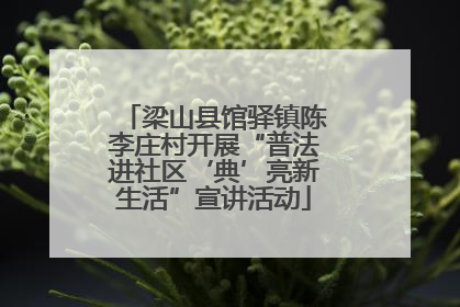 梁山县馆驿镇陈李庄村开展“普法进社区‘典’亮新生活”宣讲活动
