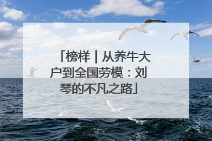 榜样｜从养牛大户到全国劳模：刘琴的不凡之路
