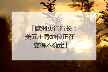 欧洲央行行长：美元主导地位正在变得不确定
