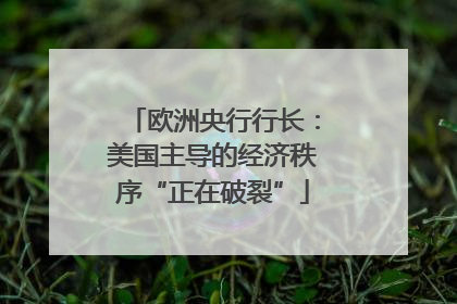 欧洲央行行长：美国主导的经济秩序“正在破裂”