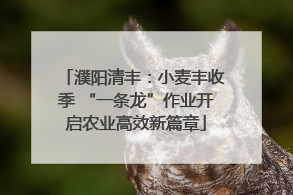 濮阳清丰：小麦丰收季 “一条龙”作业开启农业高效新篇章