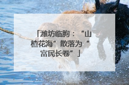 潍坊临朐：“山楂花海”散落为“富民长卷”