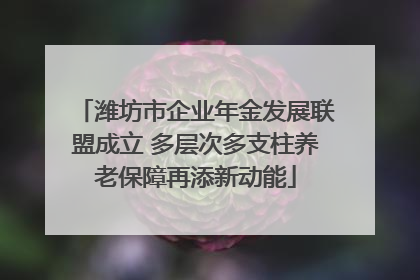 潍坊市企业年金发展联盟成立 多层次多支柱养老保障再添新动能