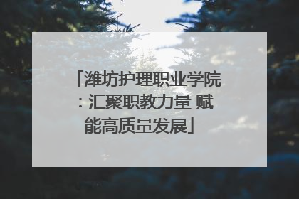 潍坊护理职业学院：汇聚职教力量 赋能高质量发展