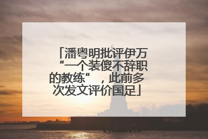 潘粤明批评伊万“一个装傻不辞职的教练”，此前多次发文评价国足