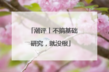 潮评丨不搞基础研究，就没根