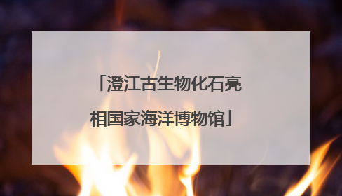 澄江古生物化石亮相国家海洋博物馆