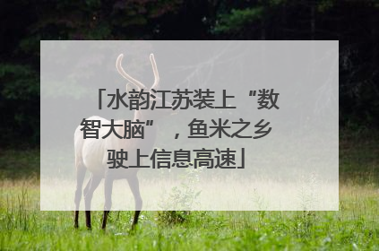 水韵江苏装上“数智大脑”，鱼米之乡驶上信息高速