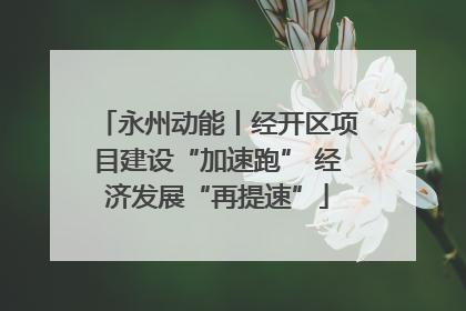 永州动能丨经开区项目建设“加速跑” 经济发展“再提速”