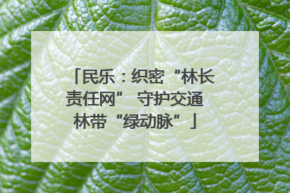 民乐：织密“林长责任网” 守护交通林带“绿动脉”