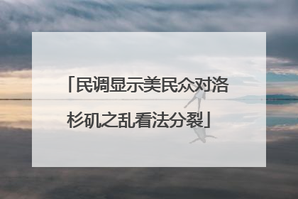 民调显示美民众对洛杉矶之乱看法分裂