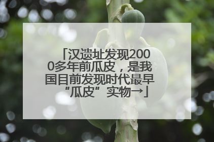 汉遗址发现2000多年前瓜皮，是我国目前发现时代最早“瓜皮”实物→