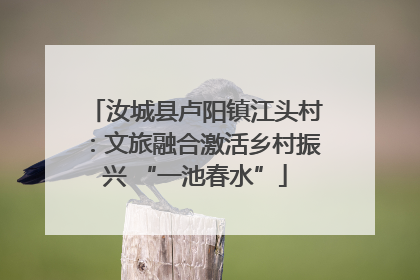 汝城县卢阳镇江头村：文旅融合激活乡村振兴 “一池春水”