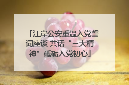 江岸公安重温入党誓词座谈 共话“三大精神”砥砺入党初心