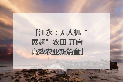 江永：无人机“展翅”农田 开启高效农业新篇章