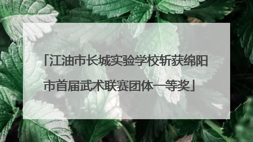 江油市长城实验学校斩获绵阳市首届武术联赛团体一等奖