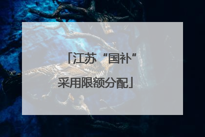 江苏“国补”采用限额分配