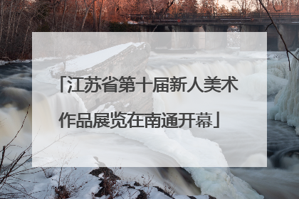 江苏省第十届新人美术作品展览在南通开幕