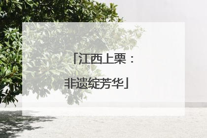 江西上栗：非遗绽芳华