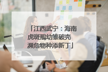 江西武宁：海南虎斑鳽幼雏破壳 濒危物种添新丁