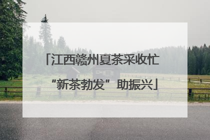 江西赣州夏茶采收忙 “新茶勃发”助振兴