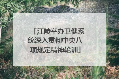江陵举办卫健系统深入贯彻中央八项规定精神轮训