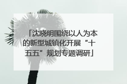 沈晓明围绕以人为本的新型城镇化开展“十五五”规划专题调研