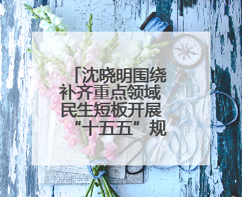 沈晓明围绕补齐重点领域民生短板开展“十五五”规划专题调研