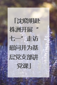 沈晓明赴株洲开展“七一”走访慰问并为基层党支部讲党课
