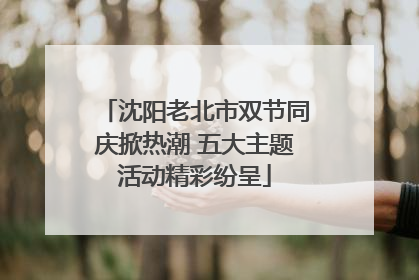 沈阳老北市双节同庆掀热潮 五大主题活动精彩纷呈