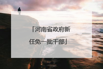 河南省政府新任免一批干部