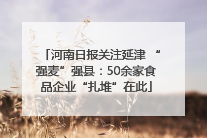 河南日报关注延津 “强麦”强县：50余家食品企业“扎堆”在此
