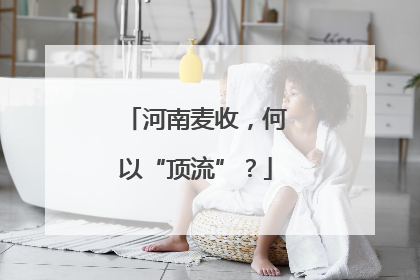 河南麦收，何以“顶流”？